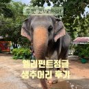 엘리펀트샤워 | 🐘🌴 푸켓 코끼리 케어/코끼리 보호소 - 엘리펀트 정글 생츄어리 반일 투어 완전 자세한 후기 (꿀팁확인)