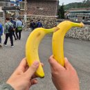 [코둘길] 해파랑길 9코스, 역방향으로 걷기, 울산 동구 뱃지와 기념품
