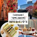 갤러리호텔 | 그랜드하얏트 애프터눈티 평일 방문 내돈내산 솔직후기 갤러리 호텔 라운지