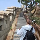 초경량, 접이식 등산스틱 추천 (with 등린이의 북악산)