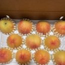 광인농장 이미지