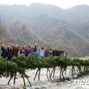 가탄(가수리) 이미지