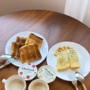 포포아일랜드 | 7월 시드니 여행 (2) 패디스마켓, QVB, 피쉬마켓 굴 완전 맛있어ㅠ, 페더데일 동물원+ 블루마운틴 선셋투어