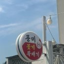 두미포로1 이미지