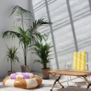 스테이 이아 이미지