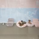 여의도 동물병원 은하점 이미지