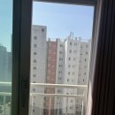 벨라시티 | 봄맞이 알루미늄 방충망 미세 방충망으로 교체 양주시 광적면 벨라 시티 아파트😄