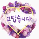 🌹5월16일/목요일 출석부 🌹 이미지