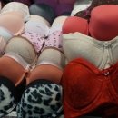 중앙란제리 이미지