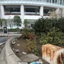 동물원야식 | 도쿄 근교 요코하마 여행코스 추천(+라면박물관, 노게야마 동물원)