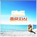 (주)대우로지스틱스 이미지