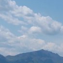 다오공인중개사사무소 이미지