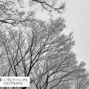 [피아노] Let it go / 렛잇고 - 겨울왕국 OST 이미지