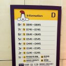 민둥산충전소 | 정선 하이원리조트 힐콘도 펫클럽 애견동반 여행(하이하우 클럽라운지, 그라운드파크)