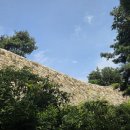 여주-0593 Daum카페