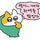 루피의 보물섬 이미지