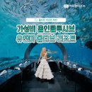 몰디브 신혼여행 가격? 가성비 올인클루시브 리조트'유앤미'