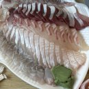 곤잠펜션 이미지