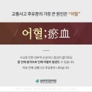 삼대손한의원 네이버블로그