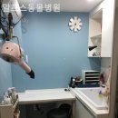 알프스동물병원 이미지