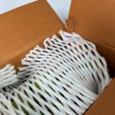 반딧불청과 이미지