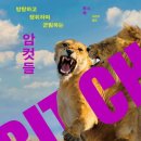 이진메디칼 이미지