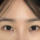 디즈네일 이미지
