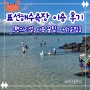 다이소표선점 | 제주 5살 아이랑 표선 해수욕장 물놀이 후기[이용 꿀팁,주의사항, 아쉬운점 공유]