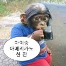 밥스토랑 속초교동점 | [프렌즈스크린 속초 교동점] 넓고 쾌적한 속초 스크린 골프장⛳ feat. 밥스토랑🍕