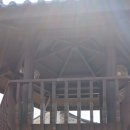 순창군민종합복지회관 | 순창 양지천 꽃잔디