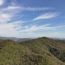 진잠나들목공인중개사사무소 이미지