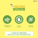 햇빛온누리약국 이미지