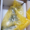 차차자동차정비공업사 이미지