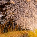 더베스트국어전문학원 이미지