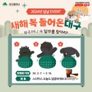 🎁 새해 복 들어온대구 EVENT 이미지