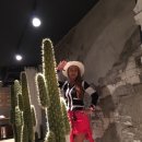 닥터 메포츠 이미지