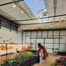 용인가든 | 용인 가든온마당 후기｜식물 화분 사고 분갈이까지, 봄 맞이 식물 쇼핑