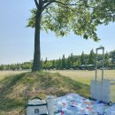 어린이교통공원 자전거대여소(3월~10월) | 부산 피크닉 명소 추천 맥도생태공원 자전거 대여 주차장