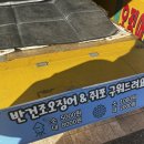 경포배오징어 이미지