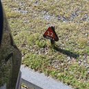 동양오토 | 서천 오토 캠핑장 스테리움 생태원 캠핑장 A12 사이트 2박 3일