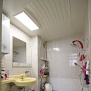 상록초교 이미지