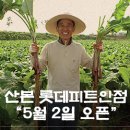 계절밥상 산본롯데피트인점 네이버블로그