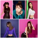 88호랭이 - 수원시 영통구 청명로 19 | 88호랭이