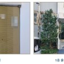 신안초등학교정문 앞 이미지