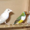 김영태농장 이미지