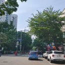 경기도 수원시 장안구 장안로89번길 이미지