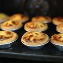 에그트리 이미지