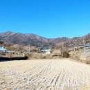 조안2리 이미지