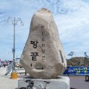 효원투어