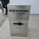 데이트안경원(Optical DATE) | 🕶해운대에서 젠틀몬스터 느낌인데 가격은 반값… “블루엘리펀트🐘” 솔직후기